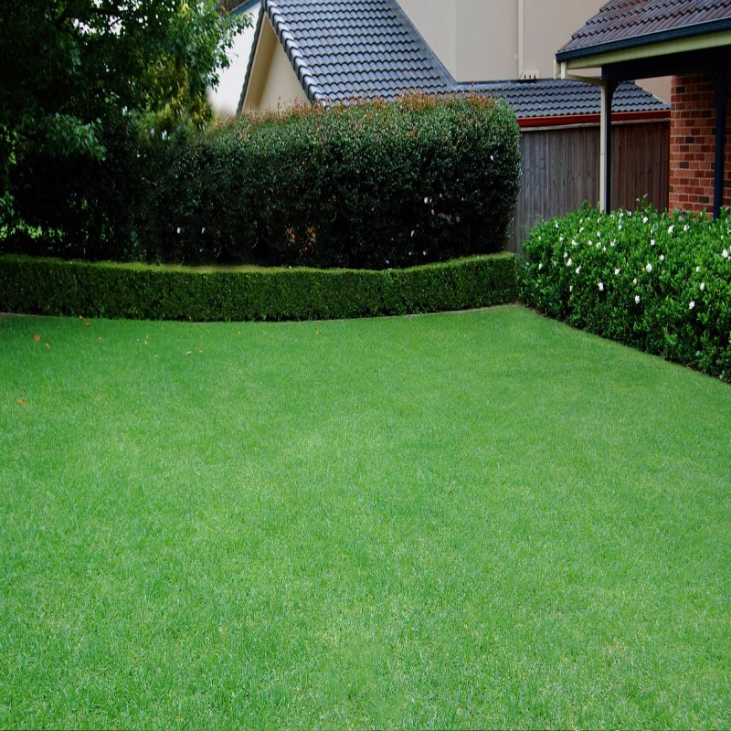 Gazon Artificiel Maroc