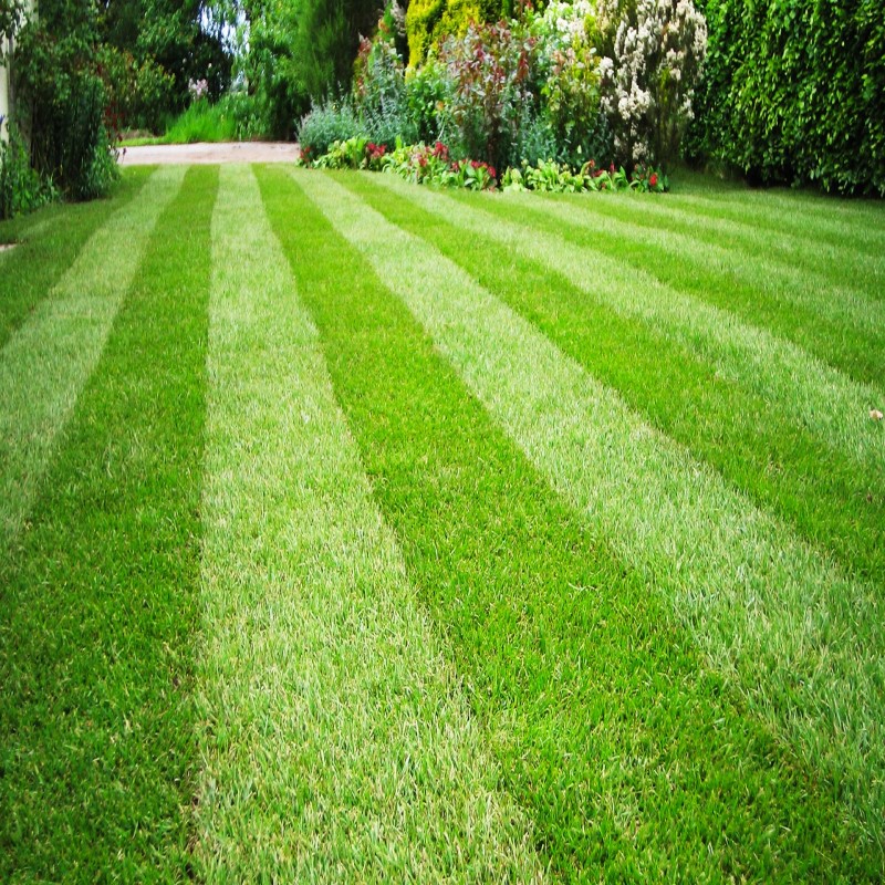 Gazon Artificiel Maroc